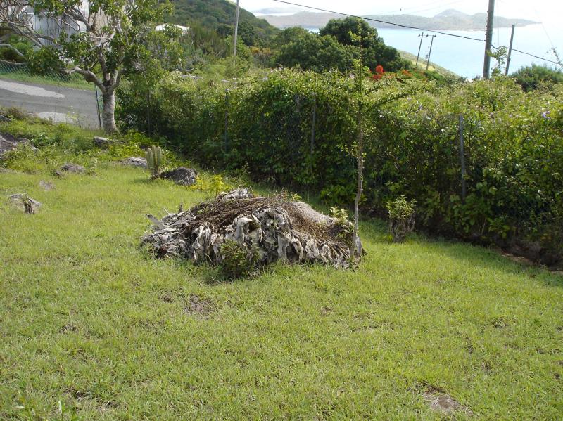 The cemetary at Virgin Gorda

(Click on image to view full-size image (2592x1944, 2.28 Mb))