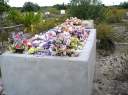 The cemetary at Virgin Gorda