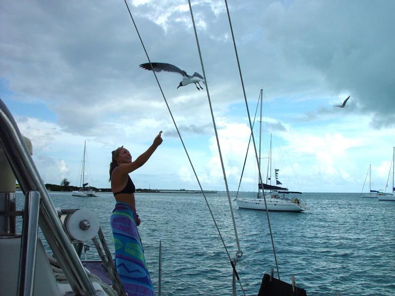 Mar feeding more seagulls

(Click on image to view full-size image (1280x960, 234 kb))