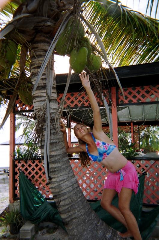 Kristen picking coconuts at Anagada

(Click on image to view full-size image (1024x1544, 771 kb))