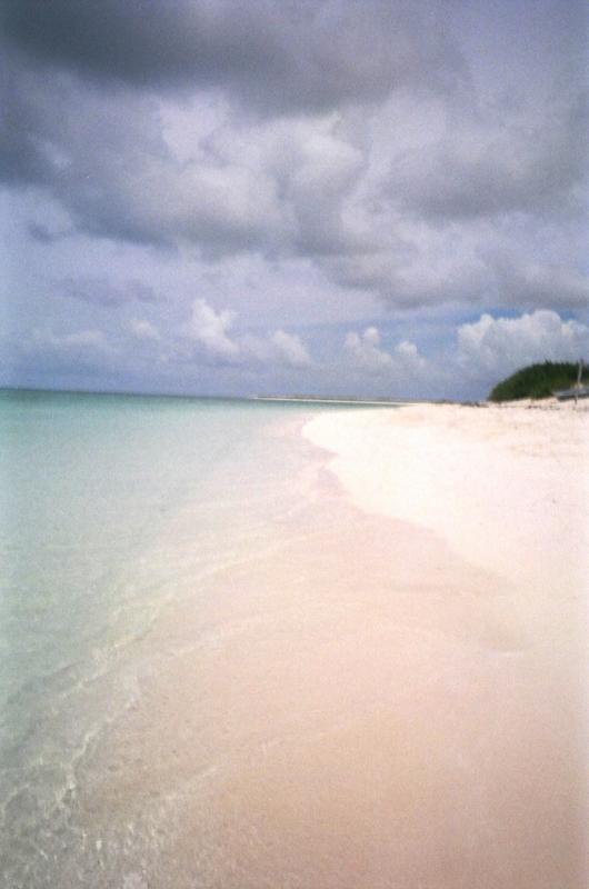 Cow Wreck Beach - Anagada

(Click on image to view full-size image (1024x1544, 302 kb))