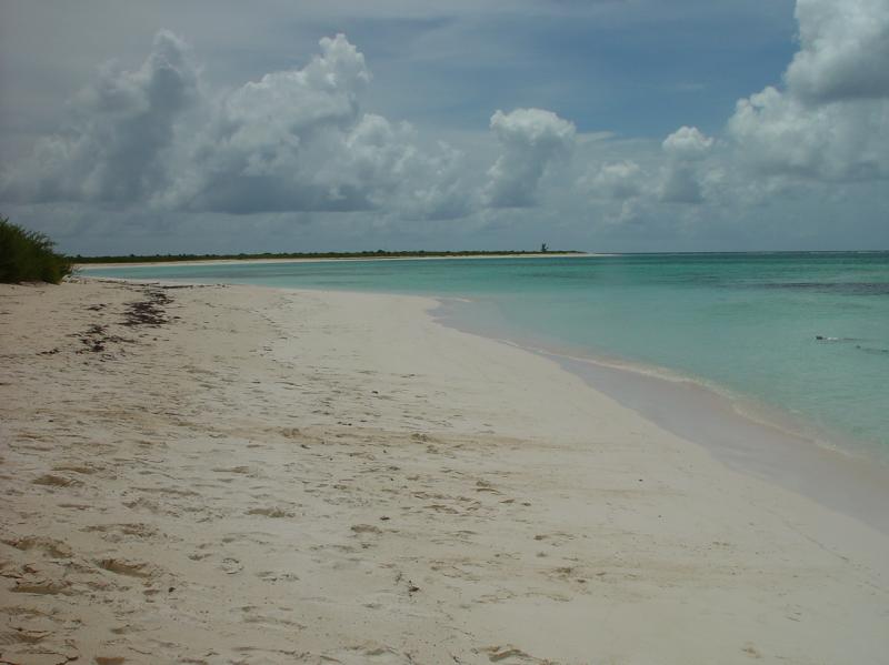 Cow Wreck Beach - Anagada

(Click on image to view full-size image (1280x960, 531 kb))