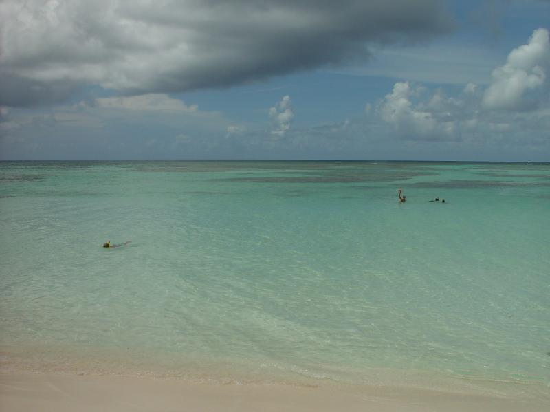 Cow Wreck Beach - Anagada

(Click on image to view full-size image (1280x960, 483 kb))