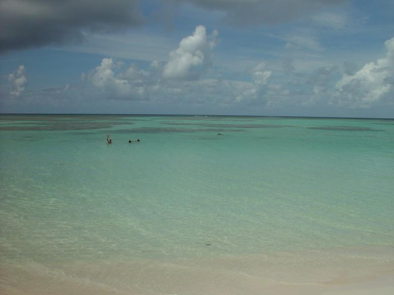 Cow Wreck Beach - Anagada

(Click on image to view full-size image (1280x960, 527 kb))