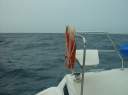 On our way to Marina Cay from Anagada