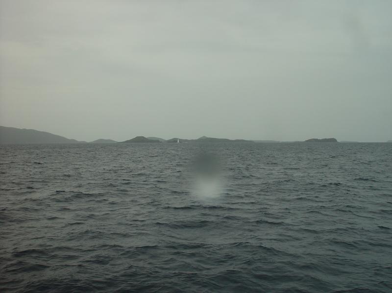 On our way to Marina Cay from Anagada

(Click on image to view full-size image (1280x960, 551 kb))