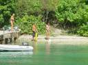 Puffer fish fun at Little Harbour