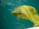 The puffer fish on the stern of ScubaCat